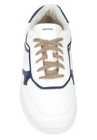 Geox WARRENS - Sneaker low - weiß/blau/weiß - Zalando.de