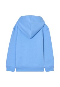 Felpa con cappuccio di colore azzurro chiaro, dotata di tasca a marsupio, polsini e orlo a coste. Realizzata in un tessuto morbido con una texture liscia.