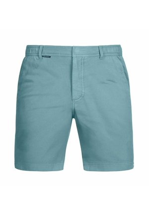 Lichtblauwe heren casual shorts met riemlussen, zijzakken en een voorsluiting met rits, getoond tegen een witte achtergrond.