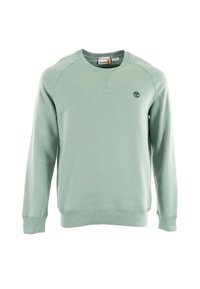 Sudadera verde clara hecha de tejido suave. Presenta puños y dobladillo acanalados, mangas raglán y un pequeño logo bordado en el pecho.