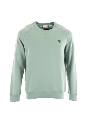 Felpa verde chiaro realizzata in morbido tessuto. Presenta polsini e orlo a costine, maniche raglan e un piccolo logo ricamato sul petto.