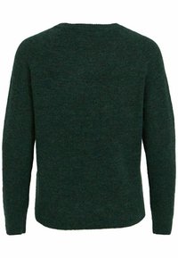 Suéter verde de punto con un cuello redondo, mangas largas y un acabado suave y texturizado. Diseño simple sin patrones ni herrajes visibles.