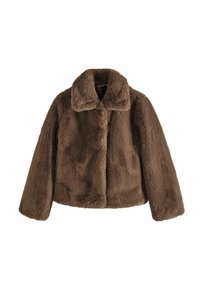 BOXY - REGULAR FIT - Jachetă de iarnă - brown