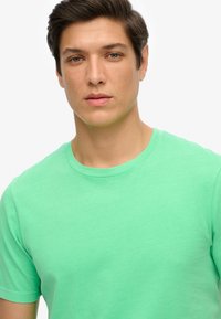 Kurzarm-T-Shirt mit Rundkragen aus leuchtend mintgrünem Baumwollstoff, das eine glatte Textur und eine reguläre Passform bietet.