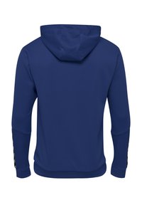 Blauwe hoodie van een gestructureerde stof, met een vaste capuchon en lange mouwen. Bevat zwarte accenten langs de manchetten. Eenvoudig, sportief ontwerp.