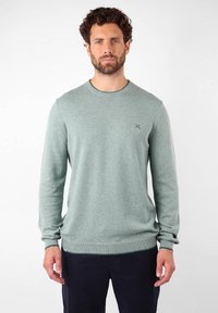 Pull en tricot vert clair avec un col rond, des manches longues et des poignets côtelés. Présente un petit logo sur le panneau gauche de la poitrine.
