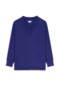 V-Ausschnitt-Pullover in lebhaftem Lila, mit langen Ärmeln und gerippten Bündchen. Weiche Strickstruktur mit entspanntem Sitz und ohne sichtbare Muster.