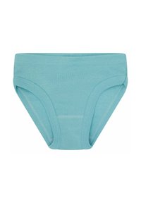 Hellblaue Baumwollunterwäsche im klassischen Slip-Design mit glatter Oberfläche und elastischem Bund. Es sind keine Muster oder Akzente vorhanden.