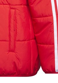adidas Performance Winterjas - light red