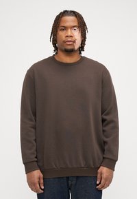 Jack & Jones JJEBRADLEY CREW  - Sweatshirt - mulch