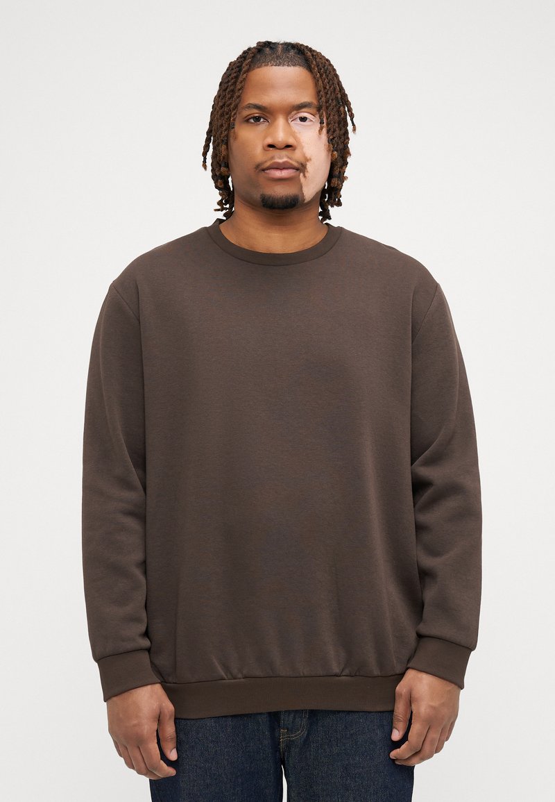 Jack & Jones JJEBRADLEY CREW  - Sweatshirt - mulch