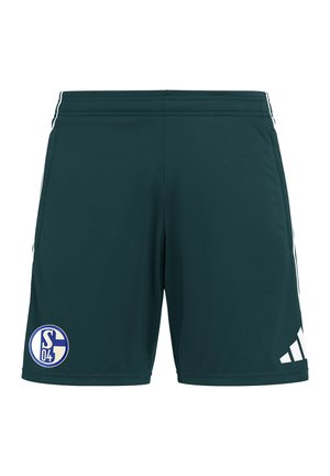 FC SCHALKE 04 REPLICAS - Pantaloncini sportivi - gruengruen