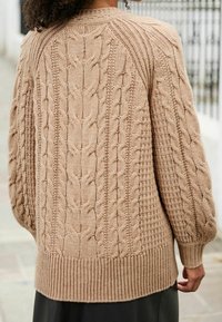 Next Pullover - brown