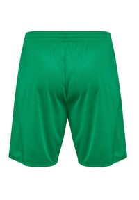 Gröna sportshorts tillverkade av ett slätt, lättviktigt material, med en elastisk midja och en enkel, oförskönad design.
