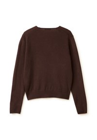 Hnědý vlněný svetr s dlouhými rukávy, kulatým výstřihem a mírně zkráceným lemem. Hladká texture a minimalistický design. Bez vzorů nebo doplňků.