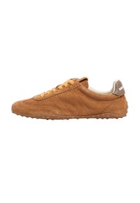 - Sneakersy niskie