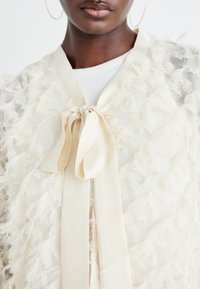 VILA VIFEATHER - Leichte Jacke - birch