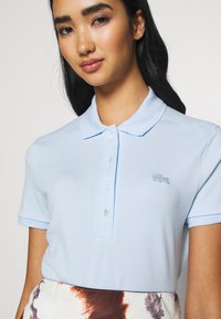 Lacoste Polotričko - ruisseau
