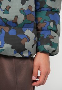 EA7 Emporio Armani MOUNTAIN ECO HOODED JACKET GRAPHIC - Ziemas jaka - multi-coloured