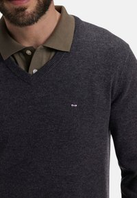 Homme portant un pull V gris foncé sur une chemise polo olive avec une courte barbe, montré de la nuque à mi-torse sur fond blanc.