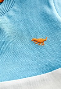 Next SHORT SLEEVE COLOURBLOCK REGULAR FIT - T-shirt med print - blue orange