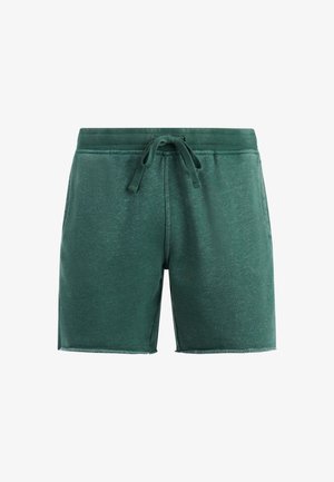 Protest, PRTGALVAN - Shorts - dark teal