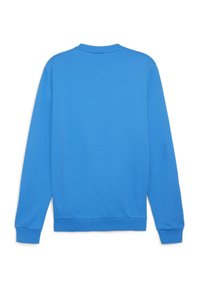 Helderblauwe sweater gemaakt van zacht materiaal, met lange mouwen, een ronde halslijn en een eenvoudig, ongecompliceerd ontwerp.
