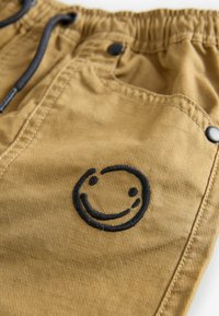 Next REGULAR FIT - Püksid - tan brown