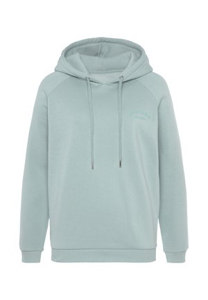 Hellblaues Kapuzensweatshirt mit lockerer Passform, Raglanärmeln, Kordelzug und gesticktem Logodetail auf der Vorderseite. Glatte Textur.