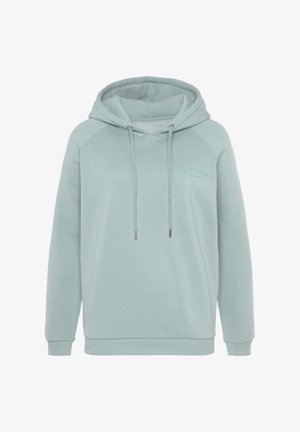 Hellblaues Kapuzensweatshirt mit lockerer Passform, Raglanärmeln, Kordelzug und gesticktem Logodetail auf der Vorderseite. Glatte Textur.