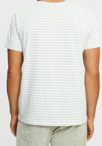 Stribet kortærmet t-shirt i lys grøn og hvid. Cotton materiale med rund hals og en afslappet pasform, set fra ryggen.