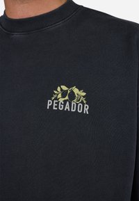 Sort sweatshirt med ribbet hals, der har et lysegrønt grafisk design af frugter og blade over teksten "PEGADOR" i grå.