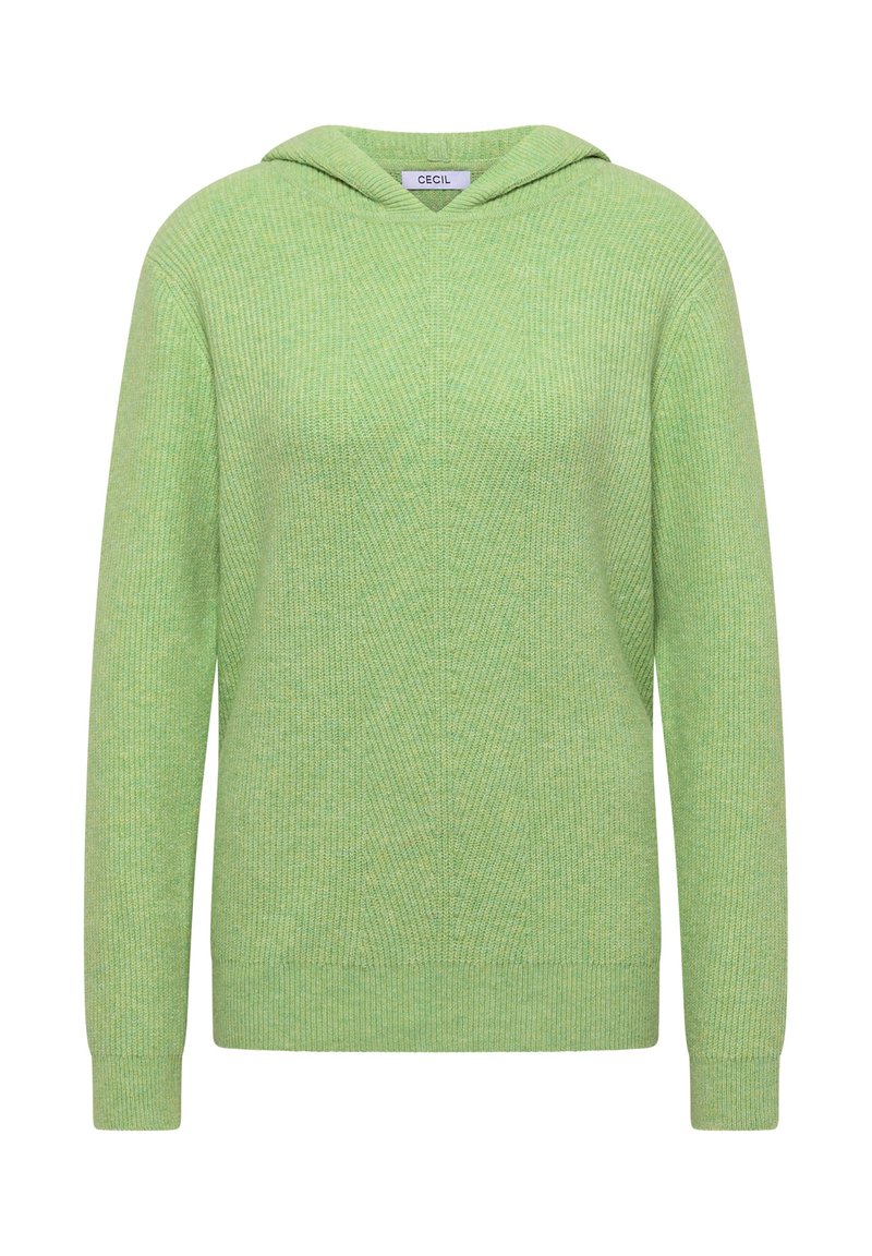 Cecil GESTREIFTES - Felpa con cappuccio - grau/grigio - Zalando