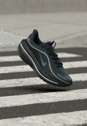 Nike Performance, AIR WINFLO 12 GTX - Обувки за бягане по асфалт - anthracite/bright spruce/black