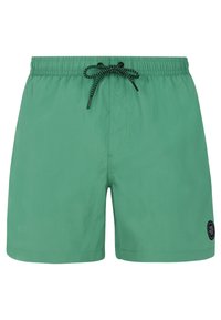 Non sélectionné, cactus green