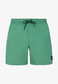 Niet geselecteerd, cactus green