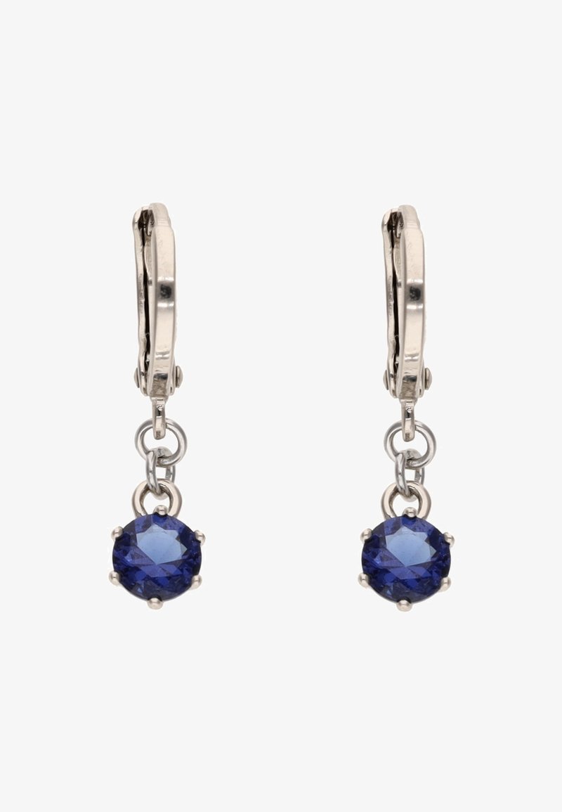 Naušnice srebrne boje s ovalnim plavim dragim kamenjem postavljenim u obujmice, ovješene s klamerica s oprugom s okruglim spojnim karikama.