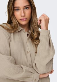 JDY LANGARM JDYTHEIS - Hemdbluse - braun