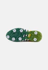 adidas Golf Golfskor - footwear white/collegiate green/yellow