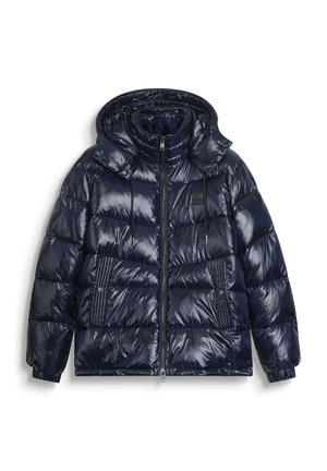 REGULAR FIT - Giacca invernale - blue grey