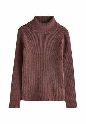 Next, REGULAR FIT - ROLL NECK JUMPER - Jumper - brown
