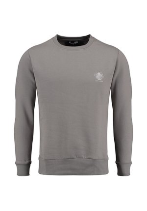 Sudadera gris con cuello redondo, mangas largas, puños y dobladillo acanalados, que presenta un pequeño logo de globo en el pecho. Textura de tela suave.