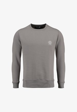 Felpa grigia con collo rotondo, maniche lunghe, polsini e orlo a coste, con un piccolo logo a forma di globo sul petto. Tessuto di texture liscia.