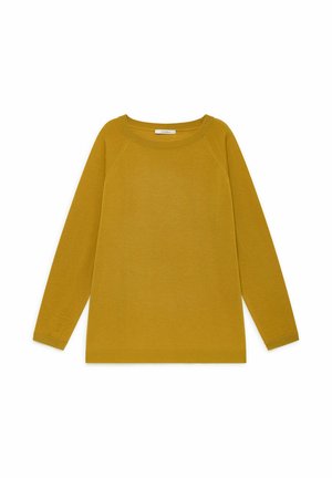 COLOURS OF THE WORLD - Maglione - mustard