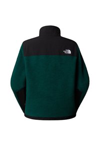 Pullover in pile verde scuro con accenti neri, colletto alto e dettaglio del logo. Presenta una superficie texturizzata e una vestibilità ampia.