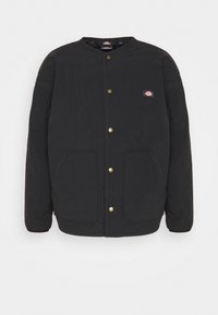 THORSBY LINER JACKET UNISEX - Light jacket - black