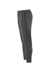 Dunkelgraue Sporthose aus glattem Stoff, mit einem schwarzen Seitenstreifen, Logo auf der Hüfte und Belüftungsakzenten am Saum.