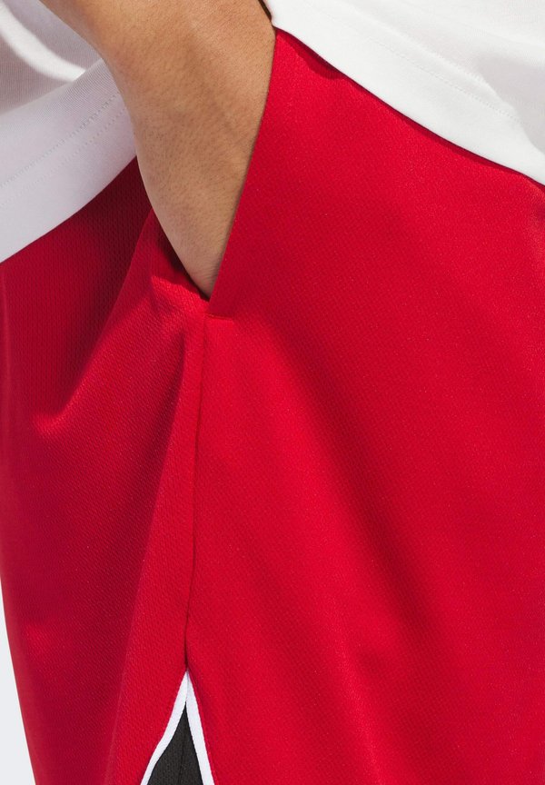 BOS - Sports shorts3