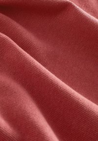 Next HEAVYWEIGHT - T-Shirt basic - red