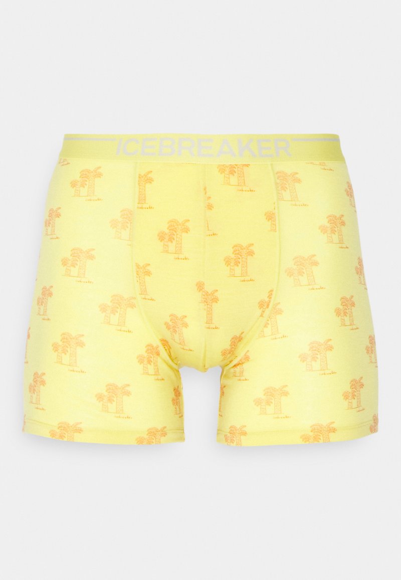 icebreaker ANATOMICA - Nadrág - LIGHT YELLOW